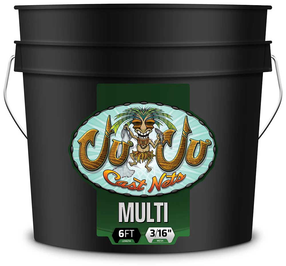 Multi Series