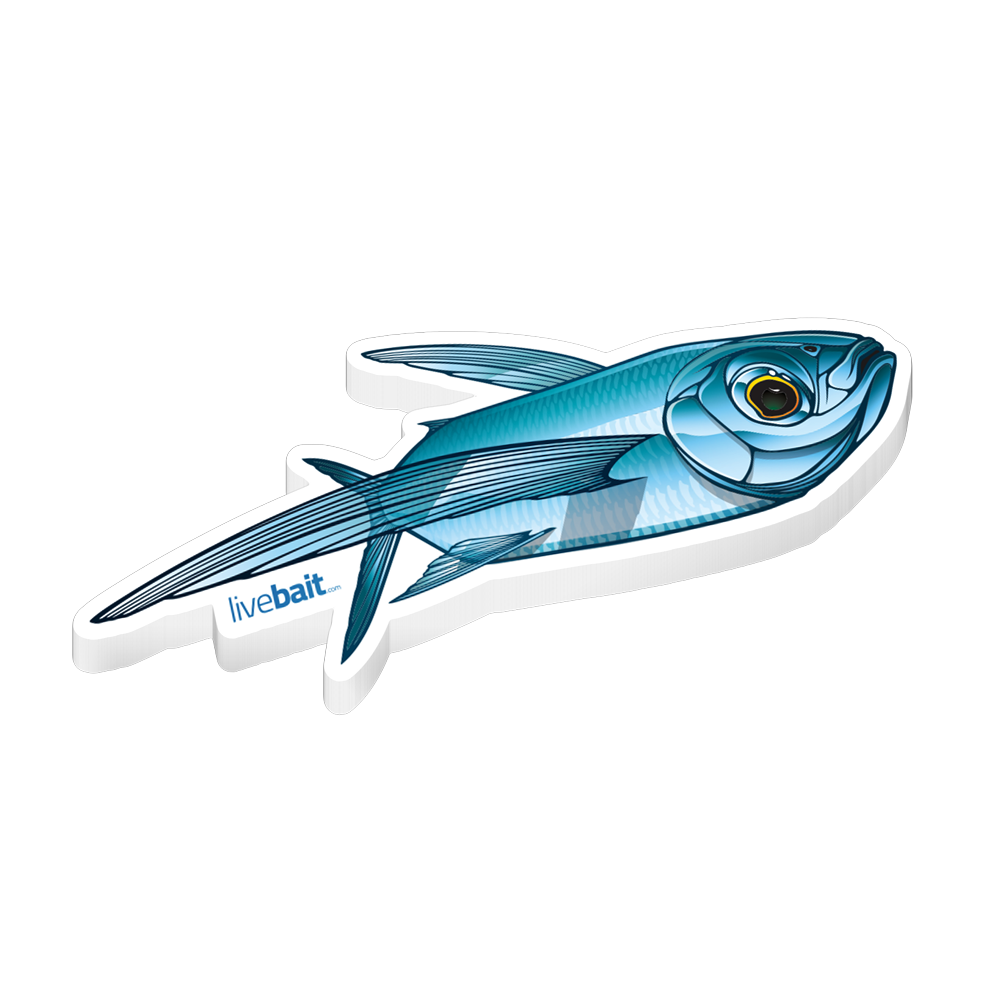 Flying Fish Sticker