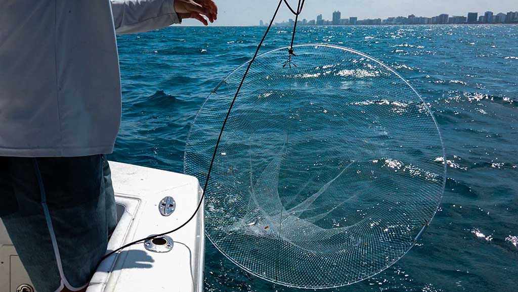 What is a BallyHop Hoop Net and How To Use It To Catch Live Bait – The  BallyHoop