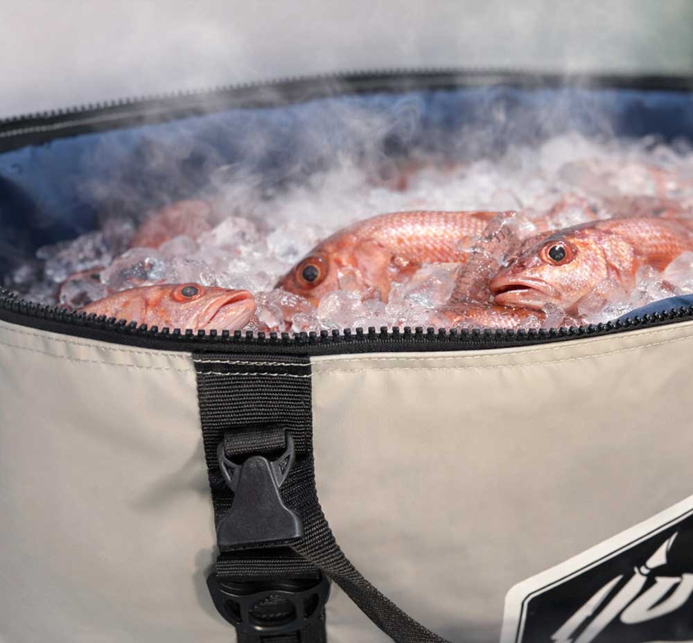 Best Insulated Kill Bag for Fish, Offshore & Inshore Fishing