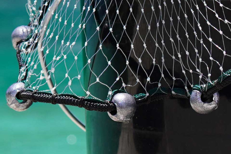 Best AllPurpose Cast Net JUJU Multi Series Cast Net