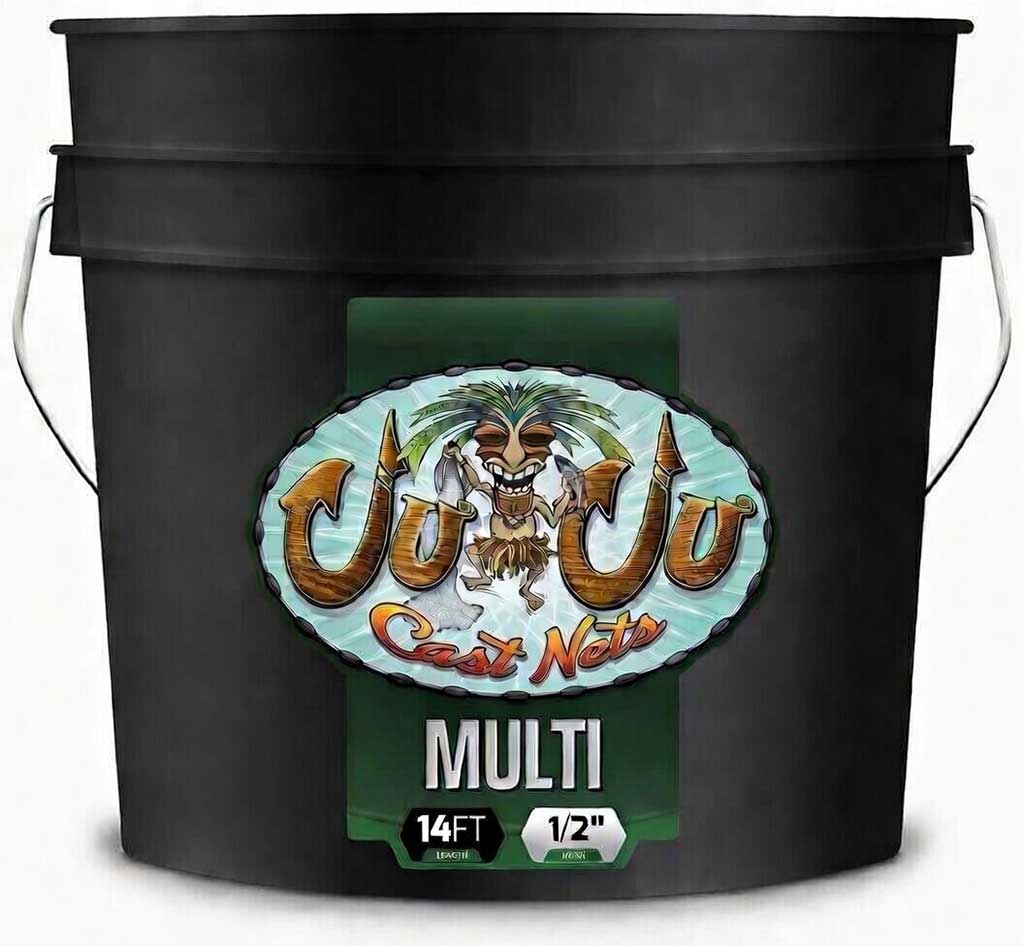 Multi Series