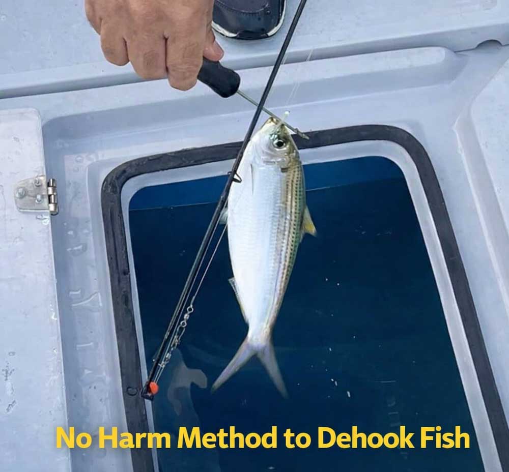 JUJU Dehooker (2 Pcs)