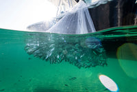 Ultra Light Cast Nets | Lightweight & Durable Nets - JUJU Cast Nets