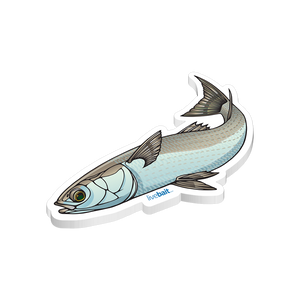 Mullet Fish Sticker
