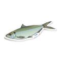 Threadfin Herring Sticker
